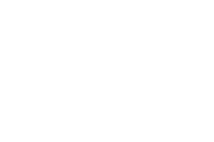 wmaxigo